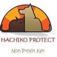 Hachiko Protect Nonprofit Kft, Mecsér